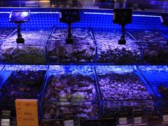 -渔民船说·北塘海鲜·天津菜·海肠捞饭(北塘古镇店)