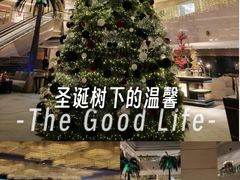 -北京丽亭华苑酒店