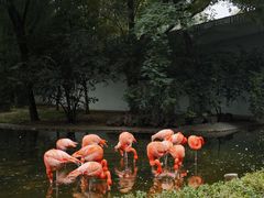 -石家庄市动物园