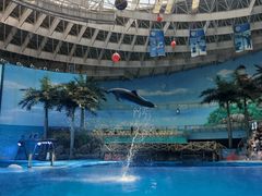 -海合安成都极地海洋公园