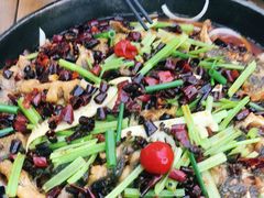 -老板恋上鱼(恒隆广场店)