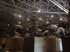 -世界恐龙谷景区