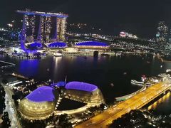 -新加坡瑞士史丹福酒店