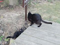 -合肥滨湖国家森林公园