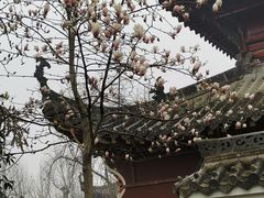 -长春观