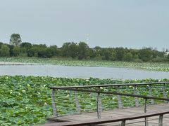 -东湖落雁景区