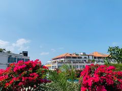 -马大胡子清真西北菜