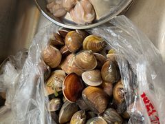 -万尾金滩