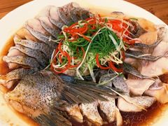 -水库活鱼馆(于桥水库店)