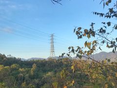 -金鸡山公园