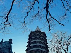-正阳书局(西四南大街店)