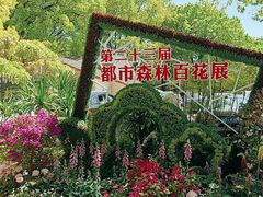 -上海共青森林公园