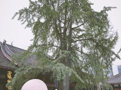 -古大圣慈寺