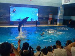 -锦艺城海洋馆