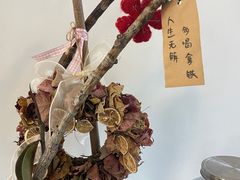 -猫里有甜