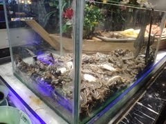 -九寸花汀海鲜烤肉自助(中东迪克店)