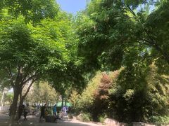 -庄怡公园