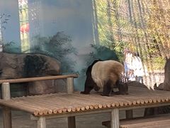 -苏州太湖国家湿地公园