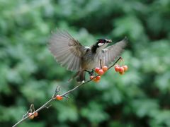 -上海市龙华烈士陵园