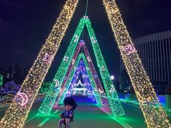 -广西壮族自治区药用植物园