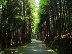 -山王坪喀斯特国家生态公园