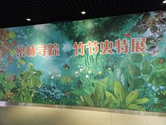 -上海昆虫博物馆