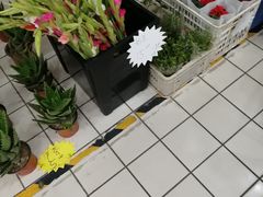 -米兰超市(红桥店)