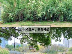 -四海公园(南山区)