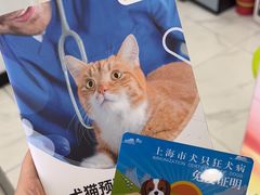 -艾吉宠物医院·疑难杂症转诊中心·猫友好(碧江路院)