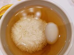 松茸炖绣球豆腐-新光酒家·河豚·海鲜·蟹料理(浦东店)