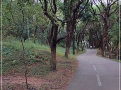 -燕晗山郊野公园