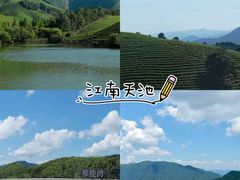 -阿露佳·舌尖上的安吉菜