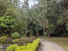 -中国科学院西双版纳热带植物园