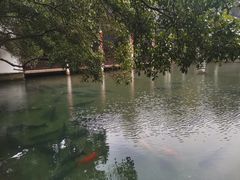 -杭州植物园