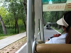 -微山湖红荷湿地景区