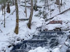 -峡谷浮石林景区
