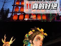 -淄博花灯齐彩城
