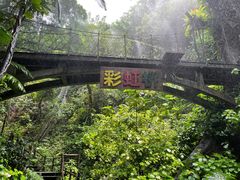 -青青世界