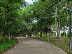 -大兴滨河森林公园