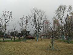 -府河摄影公园