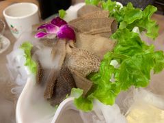 -珍巴奴毛肚牛肉小火锅(四惠店)