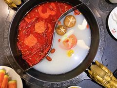36度鸳鸯锅-重庆德庄火锅(体育中心店)