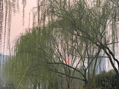 -南翠屏公园