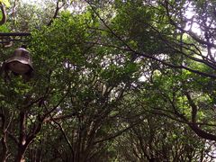 iphone_upload_pic-普陀山慧济禅寺