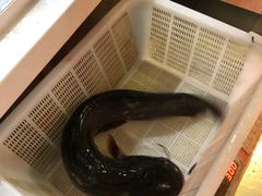 -野山舂·贵州现舂酸汤火锅(鸿通城店)