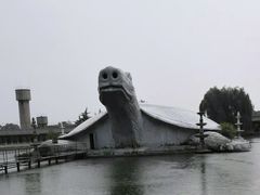 -东方巨龟苑景区