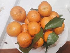 -正兴蜀园(科技园区店)