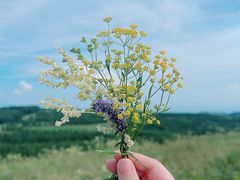 -敕勒川草原文化旅游区