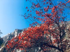 -禅宗少林·音乐大典