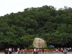 -野狸岛